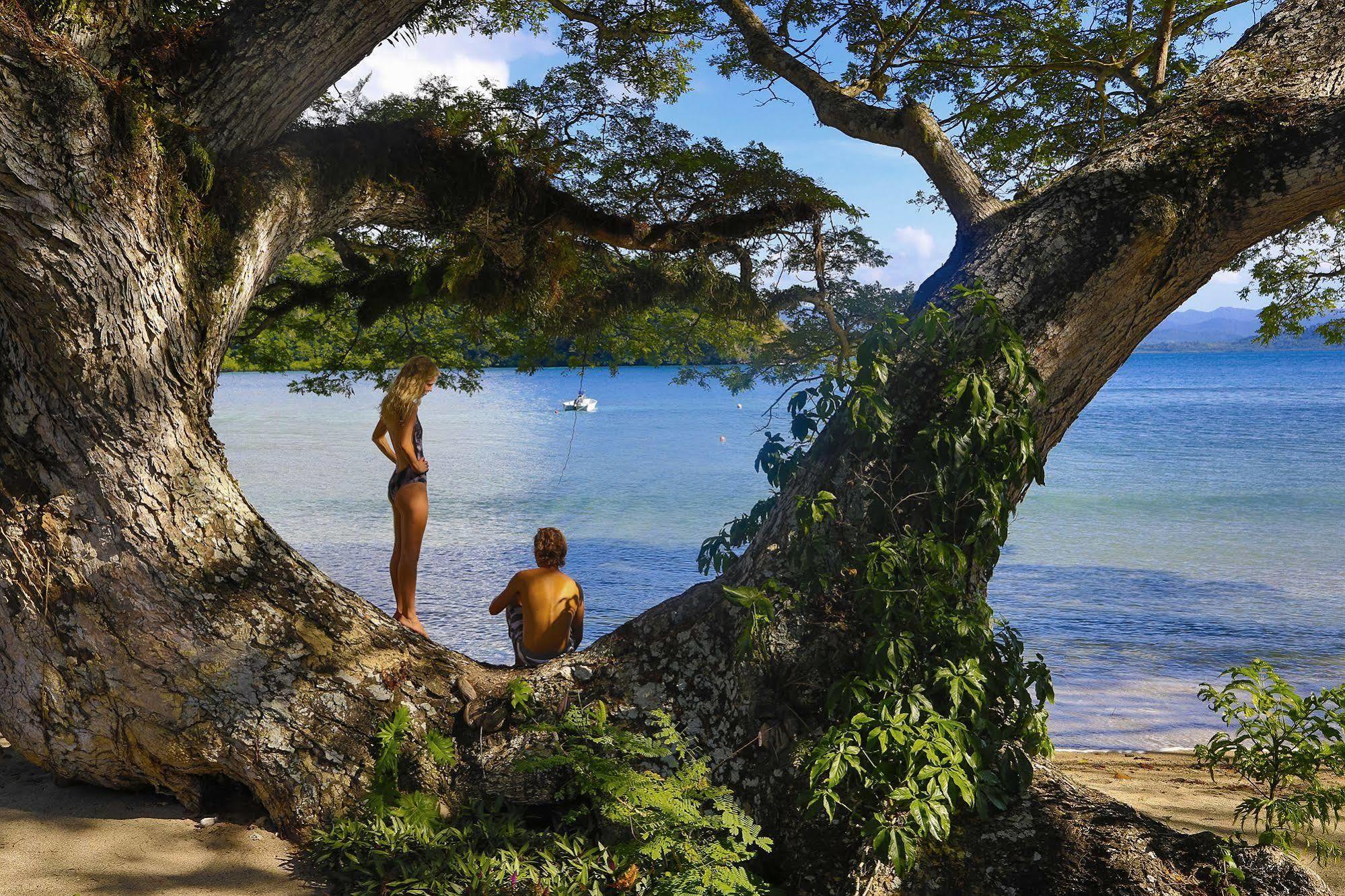 Sau Bay Resort - Off Taveuni Na Sau Bay Exteriör bild